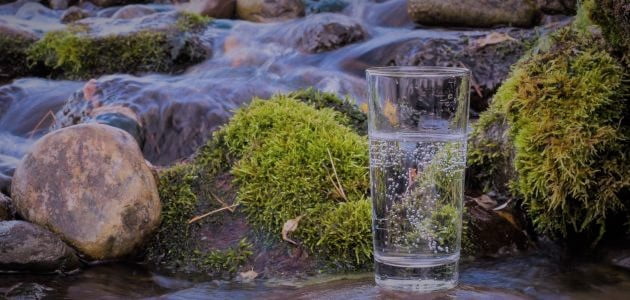 النظم البيئية للمياه العذبة