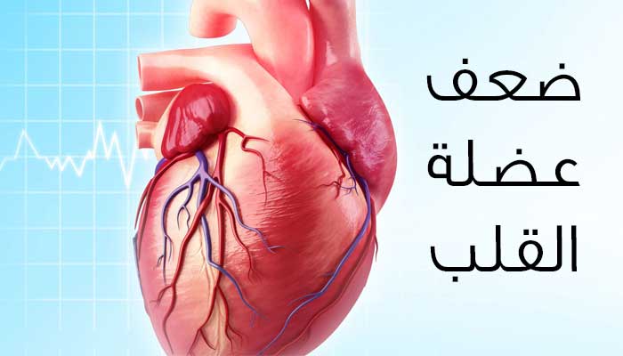 ما سبب ضعف عضلة القلب وأهم الأعراض الواضحة