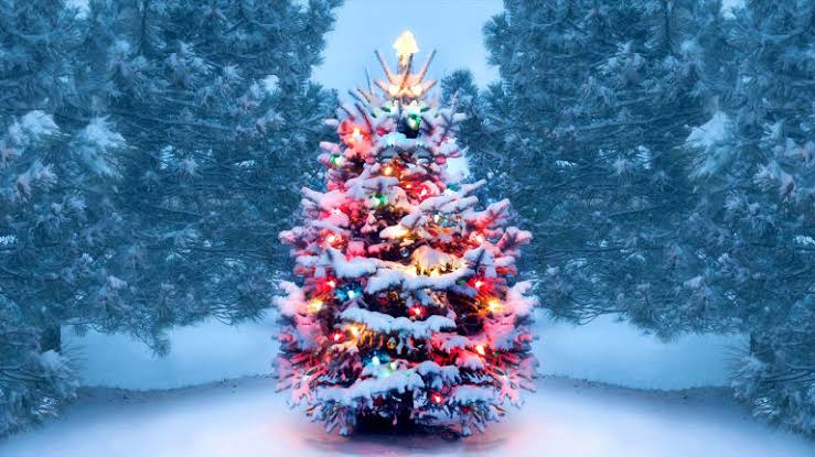 أحدث صور شجرة الكريسماس مع احتفالات راس السنة 2022