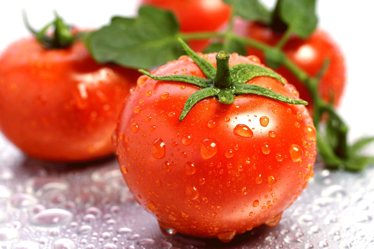 أهم فوائد الطماطم للصحة العامة وأشهر أضرارها