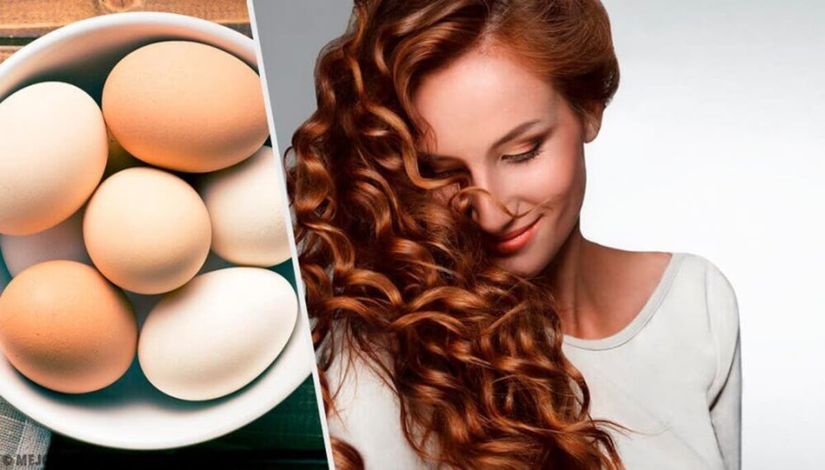 فوائد البيض للشعر الخفيف يمنع التساقط