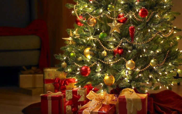 لماذا ترمز شجرة عيد الميلاد