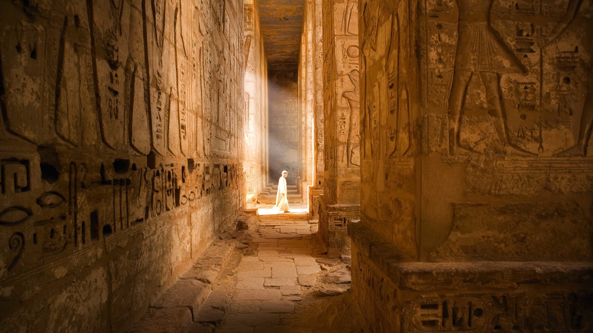 بحث عن الملك أحمس في مصر القديمة
