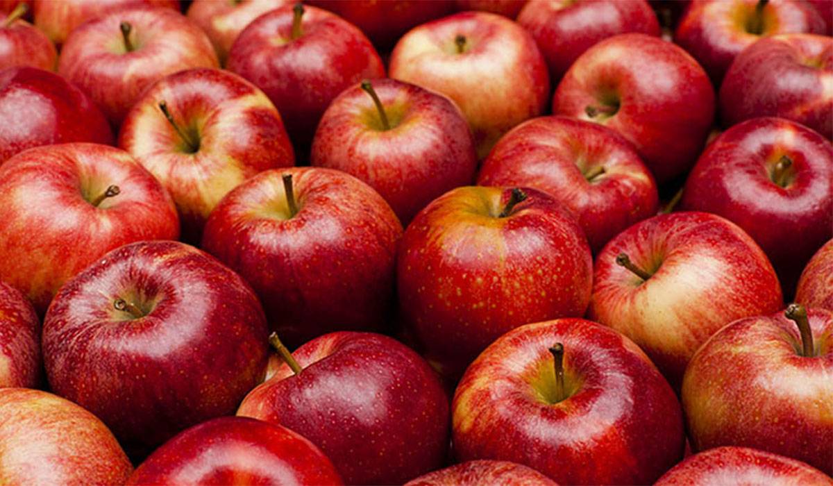 تفسير حلم التفاح في المنام لأبن سيرين والنابلسي