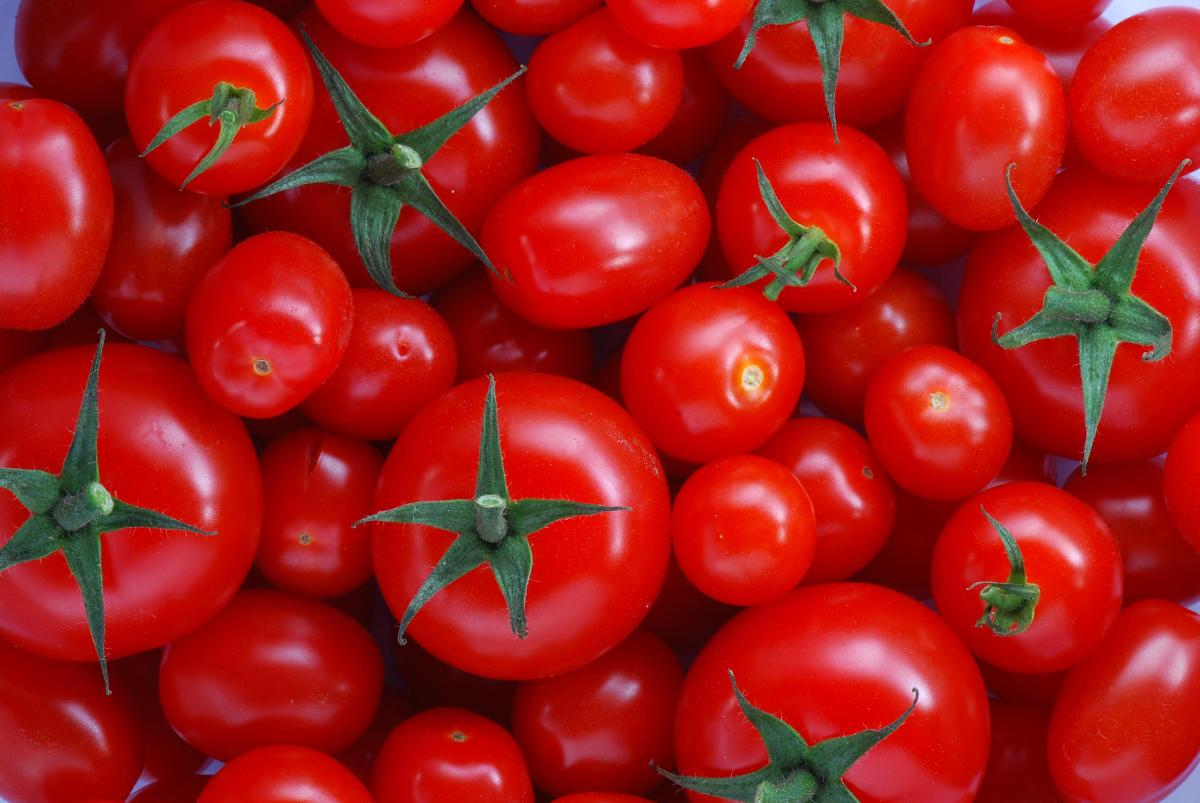تفسير حلم الطماطم في المنام للأمام بن سيرين