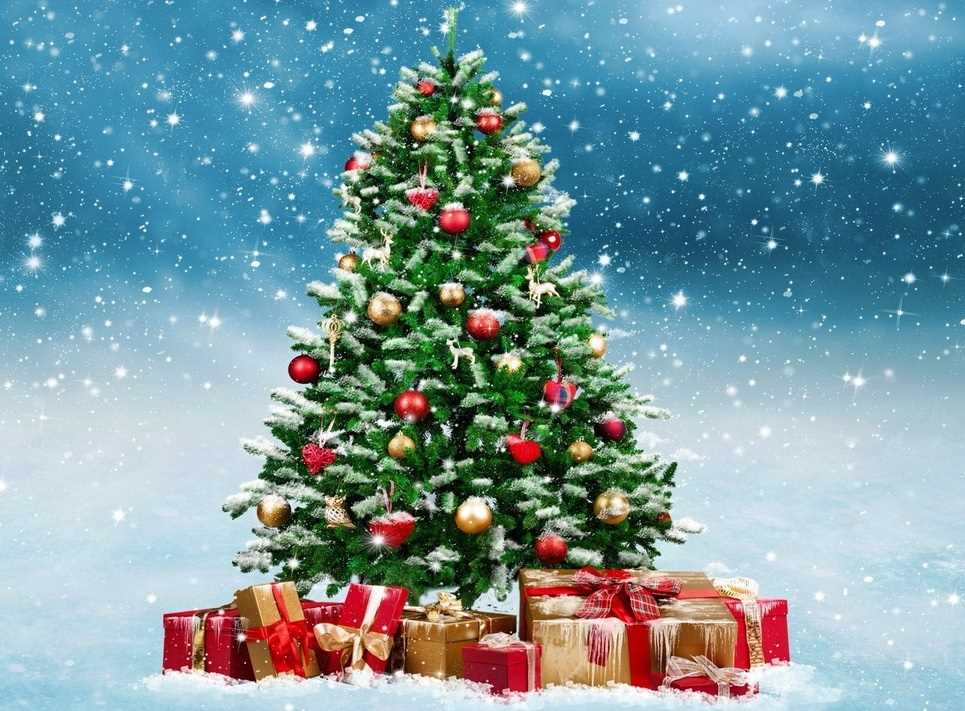 تفسير حلم رؤية شجرة عيد الميلاد فى المنام