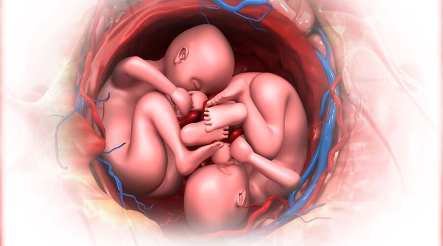 مراحل نمو التوأم في بطن الأم