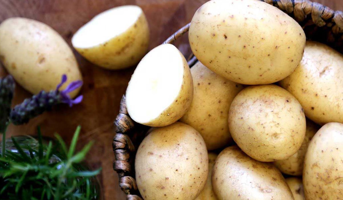 تفسير رؤية حلم البطاطس في المنام لابن سيرين والنابلسي