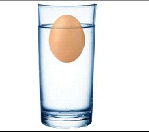 عند وضع بيضة مسلوقة ساخنة في كوب من الماء البارد ماذا يحدث لدرجة حرارة الماء والبيضة
