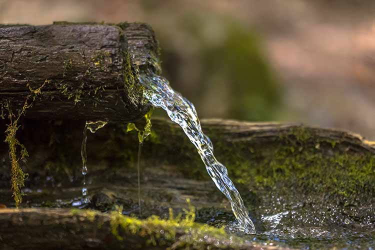 ما هي مصادر المياه العذبة
