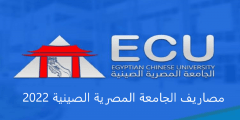 مصاريف الجامعة المصرية الصينية 2022 والكليات المتاحة